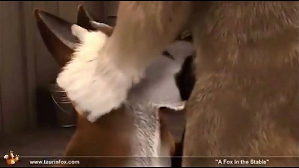 Hot Furry Animated Gif Compilation! Over 70 ca…