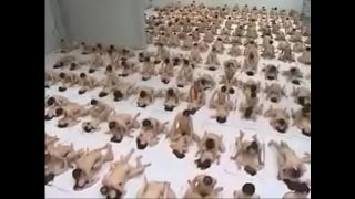 Amazing group sex by young girls and boys