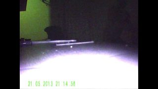 hidden camera doggy irish