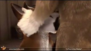 Hot Furry Animated Gif Compilation! Over 70 ca…